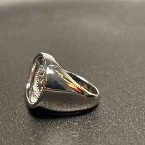 valorishine signature – infinite circle ring